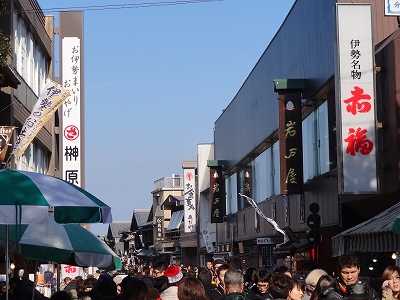 DSC00532.jpg