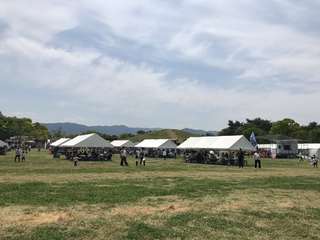 F24D88D4-DEAC-493B-A227-EF6E5606E2A8.jpg