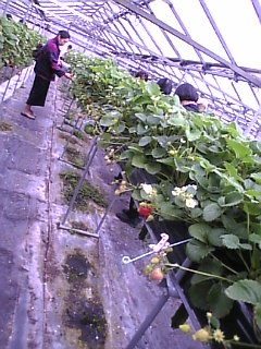 Image073.jpg