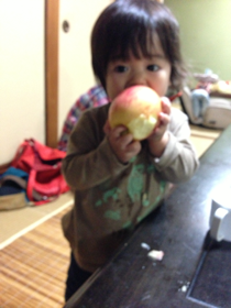 image-20121012101239.png