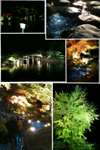 image-20101129123903.png